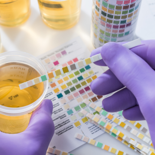 Paucek and Lage (23)