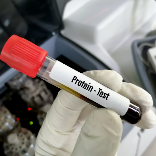 Paucek and Lage (24)