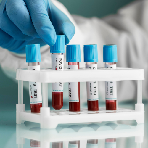 Paucek and Lage (26)